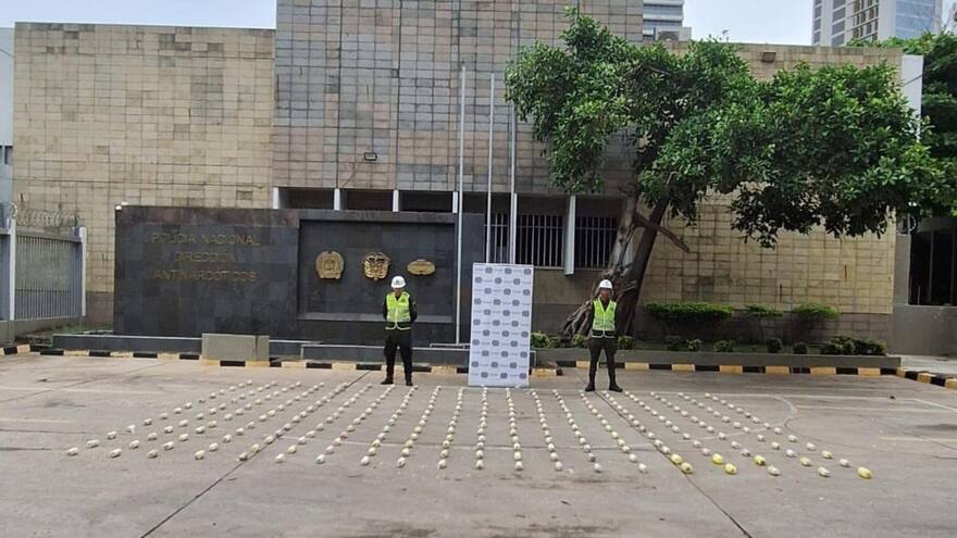 Policía incautó 63 kilos de cocaína camuflados en piñas falsas en el puerto de Cartagena