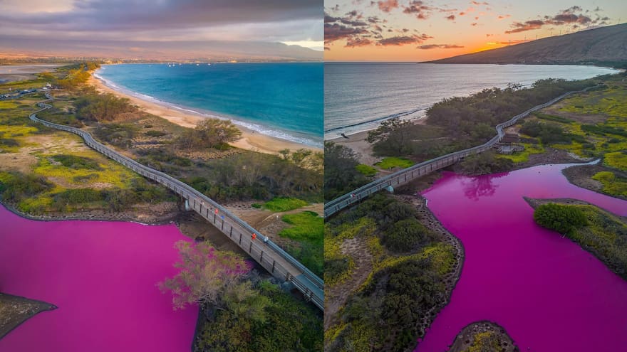 Misterio en Hawái: el agua de un estanque se volvió rosa e intriga a los científicos que lo estudian