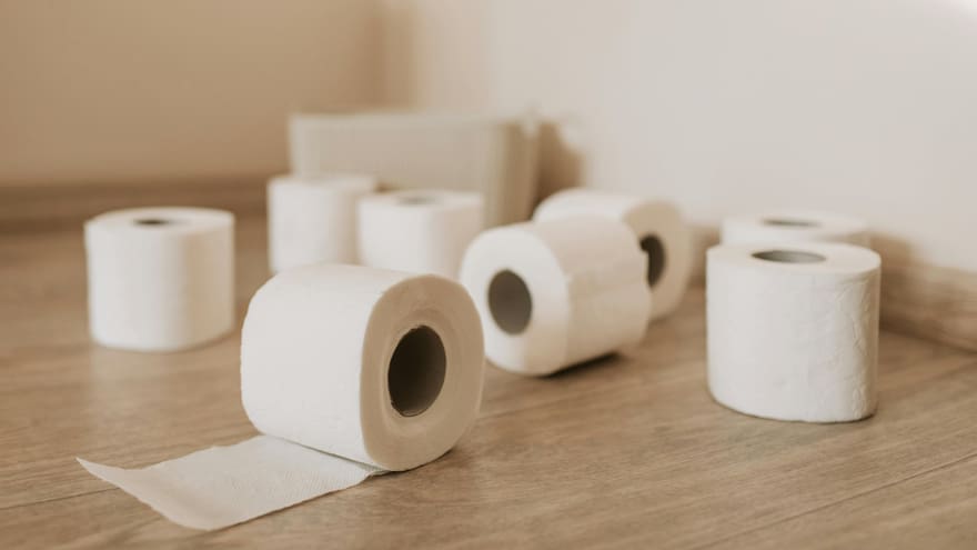 ¿El fin del papel higiénico? EE. UU. sugiere reemplazarlo por el bidé