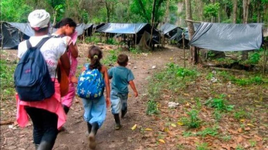 Más de 400 familias desplazadas en rechazo a erradicación forzada en Córdoba