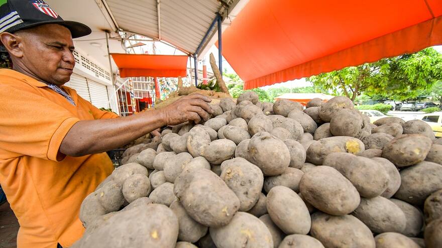 Las verduras y los tubérculos bajaron de precio en junio: Sipsa