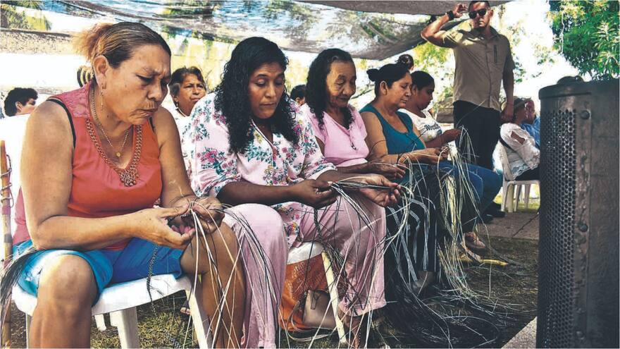 ‘La Bendición’ le abre las puertas al cultivo de la caña flecha