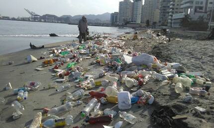Expertos y activistas piden no darle la espalda al mar