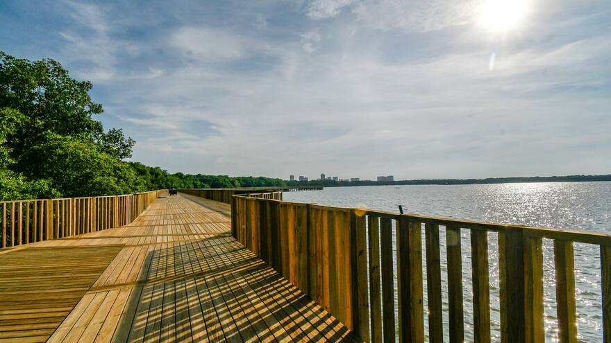 Recuperación ambiental de Mallorquín dejó ver medusas, mantarrayas y otras especies