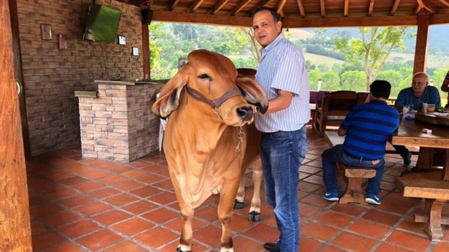 Corte ratifica dejar en libertad a policías que revelaron ‘Ñeñepolítica’