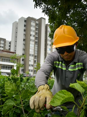 Ciudad Mallorquín: precertificada, no certificada