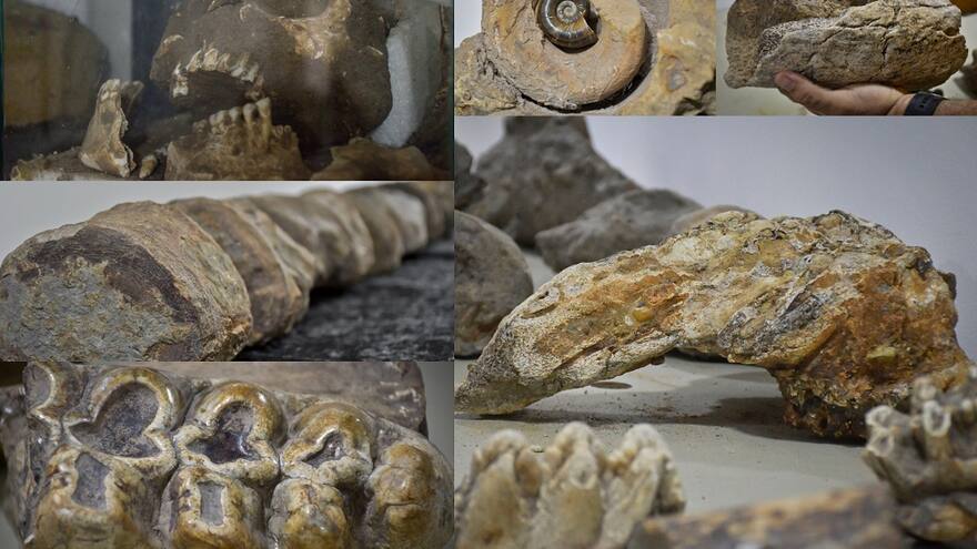 La prehistoria del Atlántico tiene su lugar en La Peña