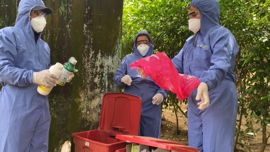 Firmantes de paz promueven proyecto ambiental en los Montes de María