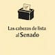 ¿Quiénes son las cabezas de lista al Senado para las elecciones 2026?