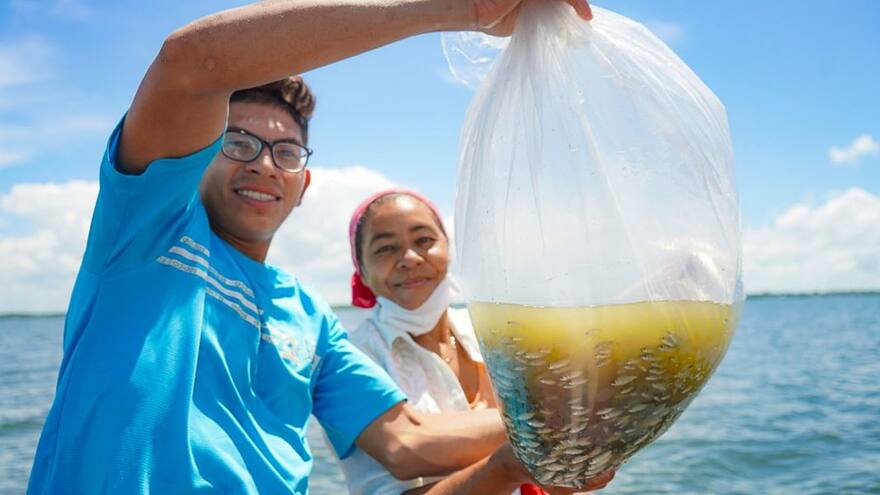 La ciénaga de San Benito, en Sucre, recibió 300 mil alevinos