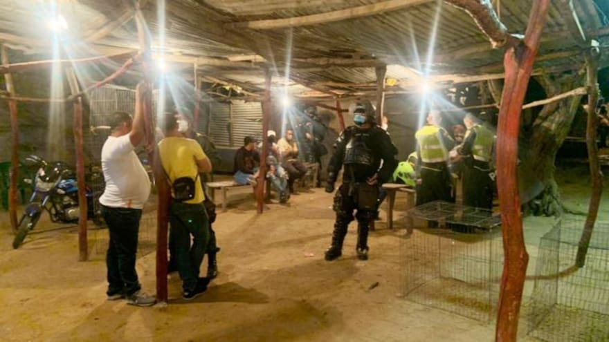 Pelea en gallera de Pinar del Río termina en tragedia: un muerto y 5 heridos