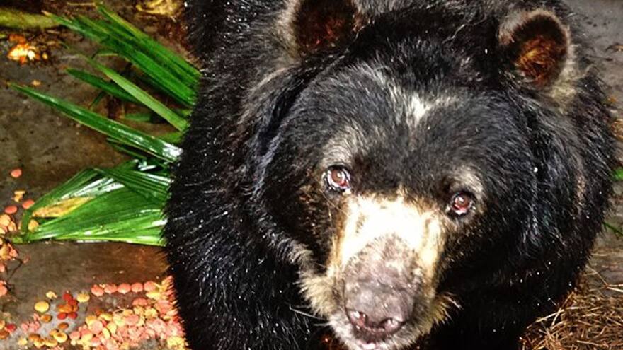 De Nariño hasta Barranquilla, el camino de ‘Chucho’