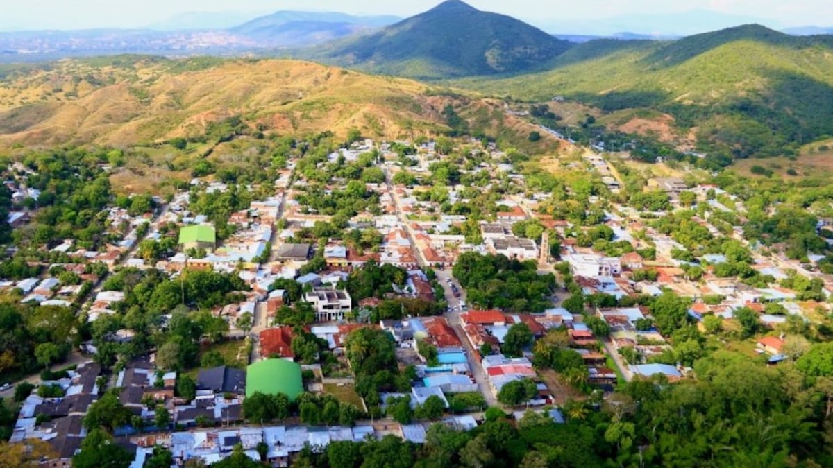 Agricultor condenado a 8 años de prisión por matar a cerdo que dañó su cultivo