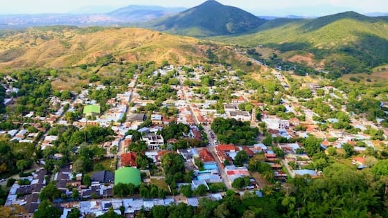 Envían a la cárcel a hombre que le quitó la vida a un cerdo en Huila