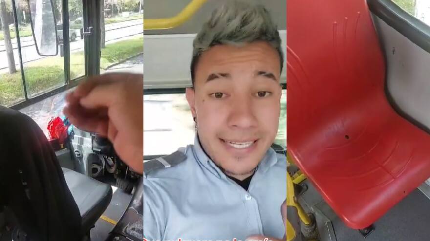 Video: conductor de SITP encontró garrapatas en hueco de la silla del bus