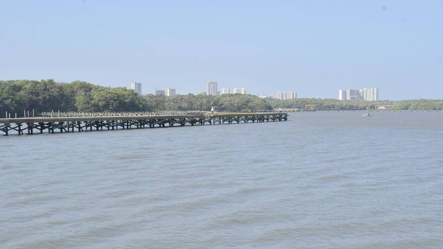 La contaminación ha disminuido en la Ciénaga de Mallorquín: CRA