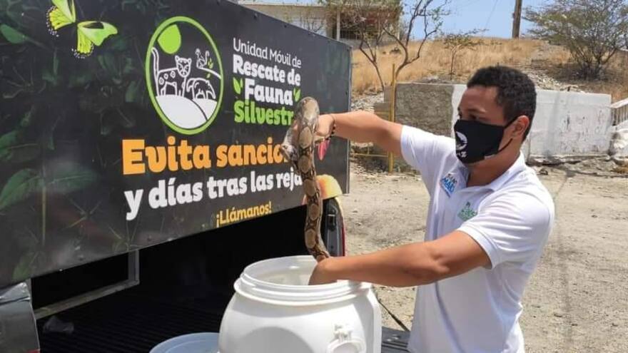 En Santa Marta 100 animales silvestres han sido rescatados en la cuarentena