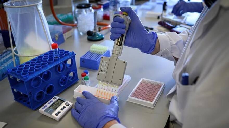 China pide a la OMS no politizar la investigación del origen del Covid