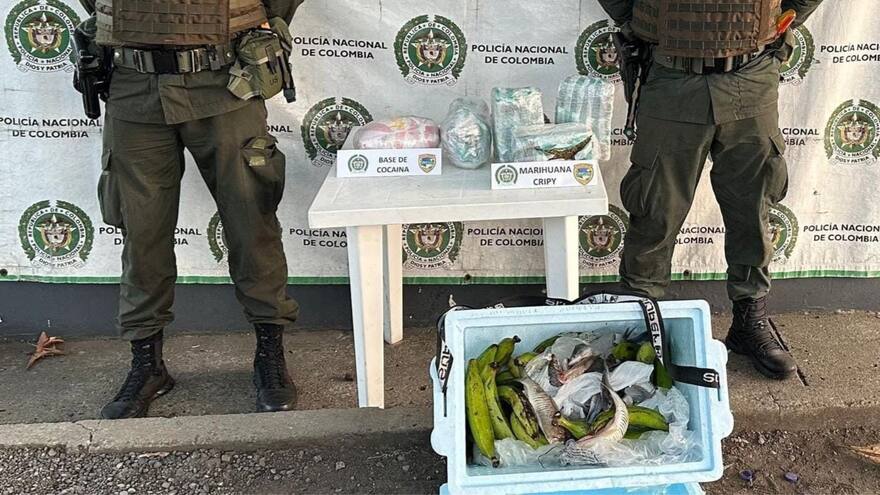 Hallan coca y marihuana camuflada entre plátanos y pescados