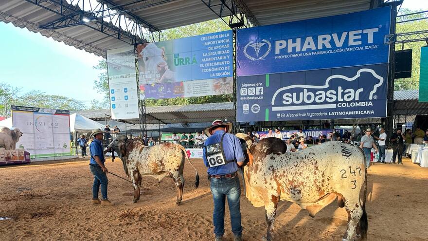 A Expoterneros Montería 2025 le queda un día de competencias