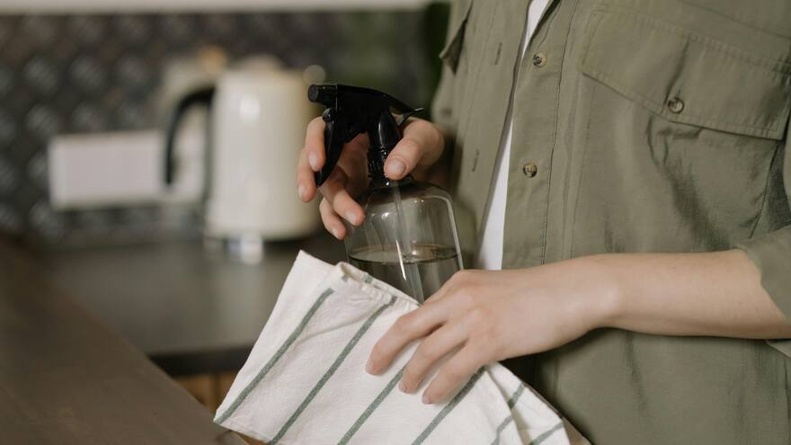 Conozca la mezcla de bicarbonato para combatir los insectos en casa