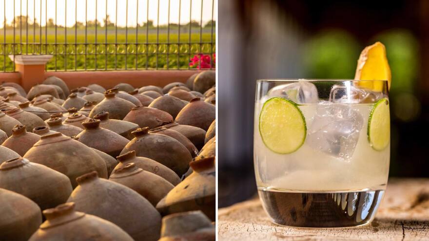 Ica, un tesoro invaluable de la bebida peruana