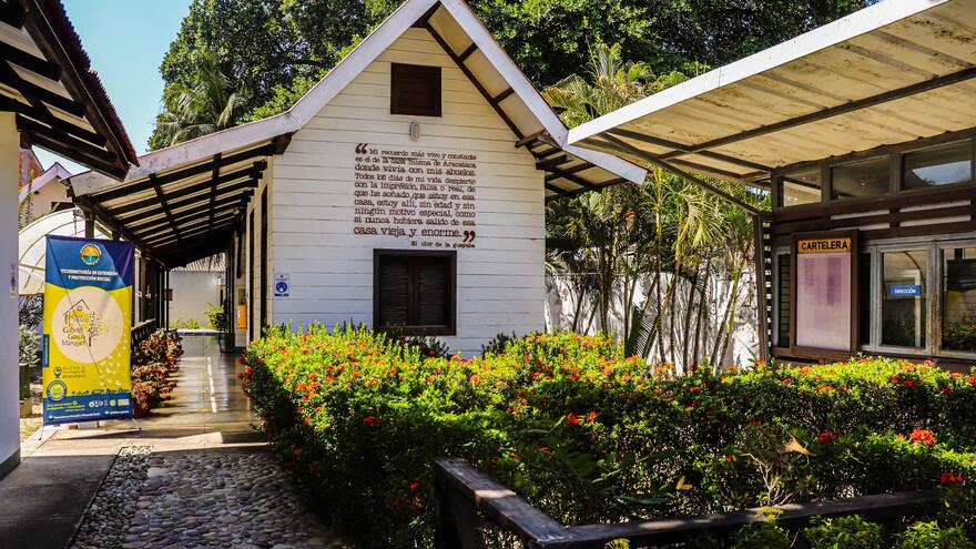 Con 43.200 plantas nativas reforestan 54 hectáreas en Aracataca y Fundación