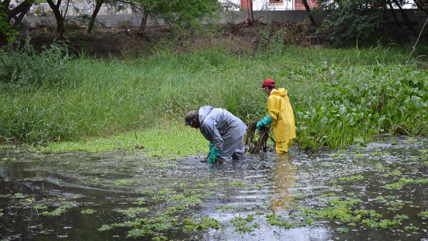 En Valledupar se celebrará la Semana Mundial del Agua