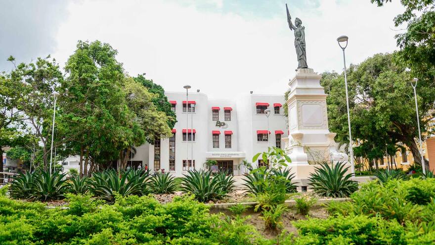 Bibliotecas públicas: sin préstamo de libros, pero con programación virtual