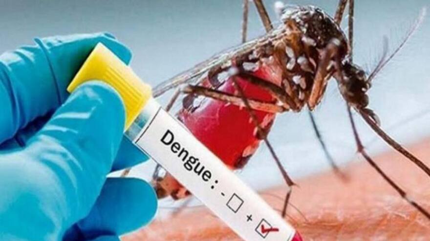 Dengue: Manaure, La Guajira, registró 111 casos