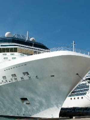 Con buen viento y buena mar | Columna de Flavia Santoro