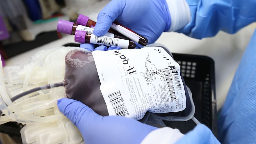 Suspenden potestad a padres que niegan transfusión de vacunados a su hijo