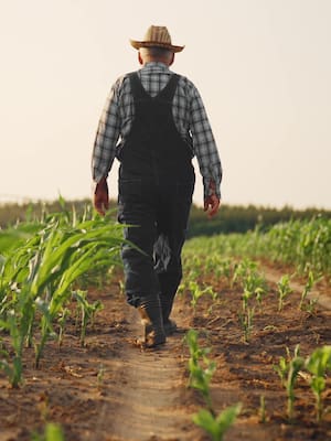 Reforma agraria, un fracaso anunciado