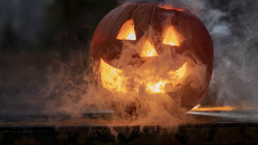 Hallan cráneo humano en la sección de Halloween en tienda de Florida