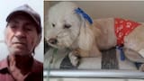 Fiscalía imputa a hombre que fingía ser veterinario y cuya intervención provocó la muerte de una canina