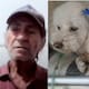 Fiscalía imputa a hombre que fingía ser veterinario y cuya intervención provocó la muerte de una canina