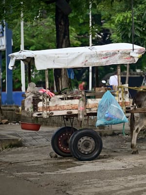 Los vehículos de tracción animal