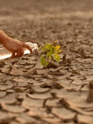 ¿Es “lo social” la última frontera? I Columna de Ricardo Plata Cepeda